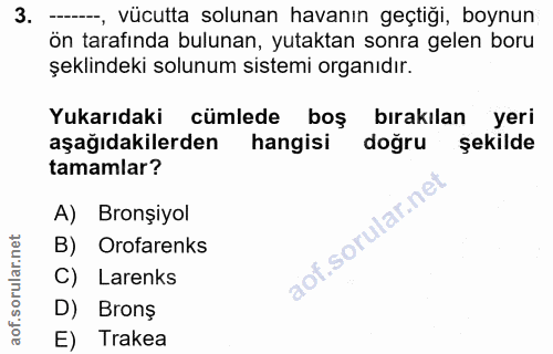 3. soru: --, vücutta solunan havanın geçtiği, boynun ön tarafında bulunan, yutaktan sonra gelen boru şeklindeki solunum sistem…