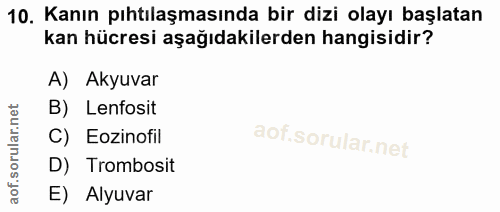 10. soru: Kanın pıhtılaşmasında bir dizi olayı başlatan kan hücresi aşağıdakilerden hangisidir? A) Akyuvar B) Lenfosit C) Eozin…
