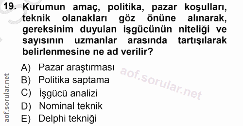 19. soru: Kurumun amaç, politika, pazar koşulları, teknik olanakları göz önüne alınarak, gereksinim duyulan işgücünün niteliği…