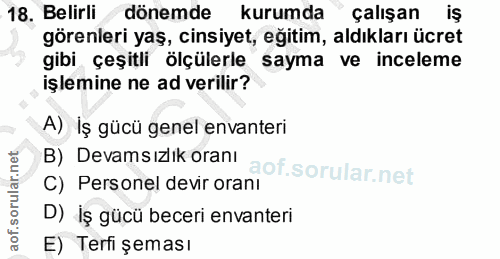 18. soru: Belirli dönemde kurumda çalışan iş görenleri yaş, cinsiyet, eğitim, aldıkları ücret gibi çeşitli ölçülerle sayma ve i…