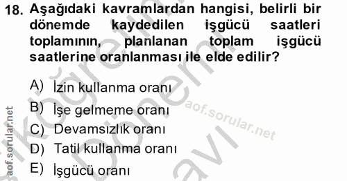 18. soru: Aşağıdaki kavramlardan hangisi, belirli bir dönemde kaydedilen işgücü saatleri toplaminin, planlanan toplam işgücü sa…