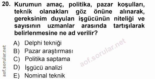 20. soru: Kurumun amaç, politika, pazar koşulları, teknik olanakları göz önüne alınarak, gereksinim duyulan işgücünün niteliği…