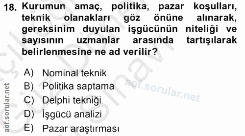 18. soru: Kurumun amaç, politika, pazar koşulları, teknik olanakları göz önüne alınarak, gereksinim duyulan işgücünün niteliği…