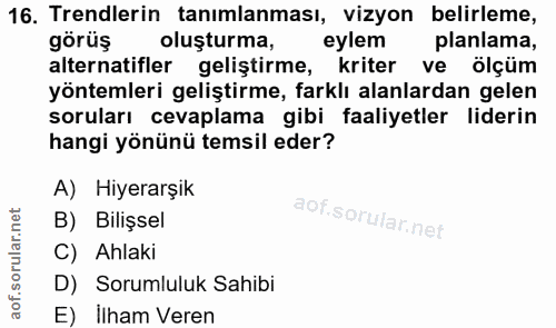 16. soru: Trendlerin tanimlanması, vizyon belirleme, görüş oluşturma, eylem planlama, alternatifler geliştirme, kriter ve ölçüm…