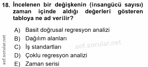 18. soru: İncelenen bir değişkenin (insangücü sayısı) gösteren zaman içinde aldığı değerleri tabloya ne ad verilir? A) Basit do…
