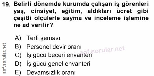 19. soru: Belirli dönemde kurumda çalışan iş görenleri yaş, cinsiyet, eğitim, aldıkları ücret gibi çeşitli ölçülerle sayma ve i…