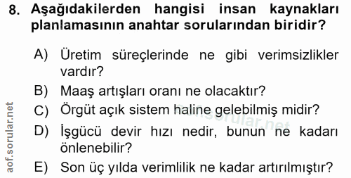 8. soru: Aşağıdakilerden hangisi insan kaynakları planlamasının anahtar sorularından biridir? A) Üretim süreçlerinde ne gibi v…