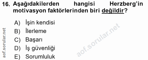 16. soru: Aşağıdakilerden hangisi Herzberg'in motivasyon faktörlerinden biri değildir? A) Işin kendisi B) İlerleme C) Başarı lo…