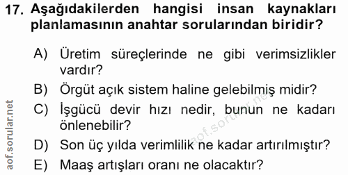 17. soru: Aşağıdakilerden hangisi insan kaynakları planlamasının anahtar sorularından biridir? A) Uretim süreçlerinde ne gibi v…