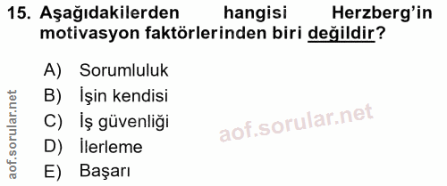 15. soru: Aşağıdakilerden hangisi Herzberg'in motivasyon faktörlerinden biri değildir? A) Sorumluluk B) İşin kendisi C) İş güve…