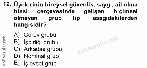 12. soru: Üyelerinin bireysel güvenlik, saygı, ait olma hissi çerçevesinde gelişen biçimsel olmayan grup tipi aşağıdakilerden h…