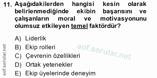 11. soru: Aşağıdakilerden hangisi kesin olarak belirlenmediğinde ekibin başarısını ve çalışanların moral ve motivasyonunu olums…