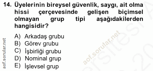 14. soru: Üyelerinin bireysel güvenlik, saygı, ait olma hissi çerçevesinde gelişen biçimsel olmayan grup tipi aşağıdakilerden h…