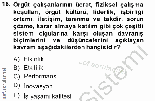 18. soru: Örgüt çalışanlarının ücret, fiziksel çalışma koşulları, örgüt kültürü, liderlik, işbirliği ortamı, iletişim, tanınma…