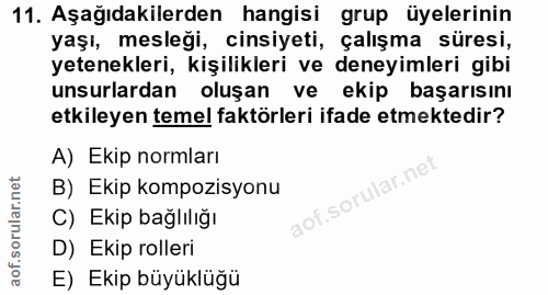 11. soru: Aşağıdakilerden hangisi grup üyelerinin yaşı, mesleği, cinsiyeti, çalışma süresi, yetenekleri, kişilikleri ve deneyim…