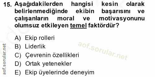 15. soru: Aşağıdakilerden hangisi kesin olarak belirlenmediğinde ekibin başarısını ve çalışanların moral ve motivasyonunu olums…