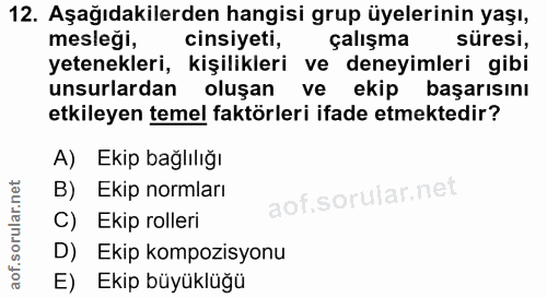 12. soru: Aşağıdakilerden hangisi grup üyelerinin yaşı, mesleği, cinsiyeti, çalışma süresi, yetenekleri, kişilikleri ve deneyim…