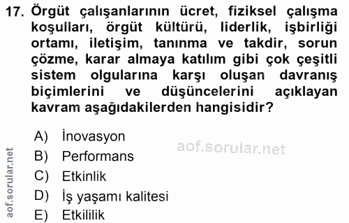 17. soru: Örgüt çalışanlarının ücret, fiziksel çalışma koşulları, örgüt kültürü, liderlik, işbirliği ortami, iletişim, tanınma…