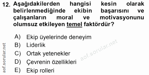 12. soru: Aşağıdakilerden hangisi kesin olarak belirlenmediğinde ekibin başarısını ve çalışanların moral ve motivasyonunu olums…
