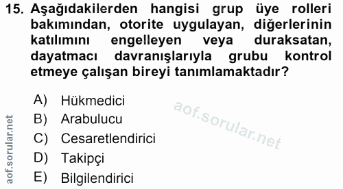 15. soru: Aşağıdakilerden hangisi grup üye rolleri bakımından, otorite uygulayan, diğerlerinin katılımını engelleyen veya durak…