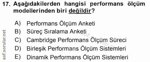 17. soru: Aşağıdakilerden hangisi performans ölçüm modellerinden biri değildir? A) Performans Ölçüm Anketi B) Süreç Sıralama An…