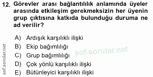 12. soru: Görevler arası bağlantılılık anlamında üyeler arasında etkileşim gerekmeksizin her üyenin grup çıktısına katkıda bulu…