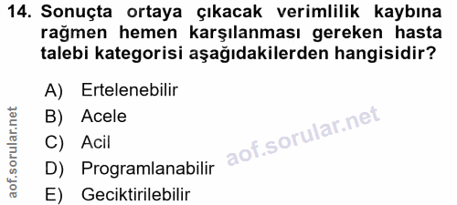 14. soru: Sonuçta ortaya çıkacak verimlilik kaybına rağmen hemen karşılanması gereken hasta talebi kategorisi aşağıdakilerden h…