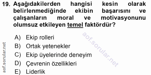19. soru: Aşağıdakilerden hangisi kesin olarak belirlenmediğinde ekibin başarısını ve çalışanların moral ve motivasyonunu olums…
