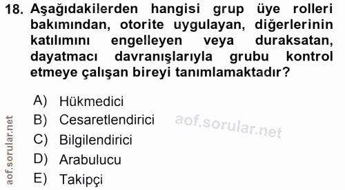 18. soru: Aşağıdakilerden hangisi grup üye rolleri bakımından, otorite uygulayan, diğerlerinin katılımını engelleyen veya durak…