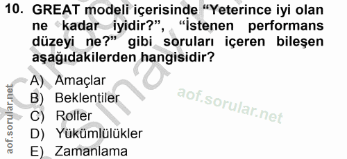 10. soru: GREAT modeli içerisinde "Yeterince iyi olan ne kadar iyidir?", "İstenen performans düzeyi ne?" gibi soruları içeren b…