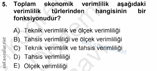 5. soru: Toplam ekonomik verimlilik aşağıdaki verimlilik türlerinden hangisinin bir fonksiyonudur? A) Teknik verimlilik ve ölç…