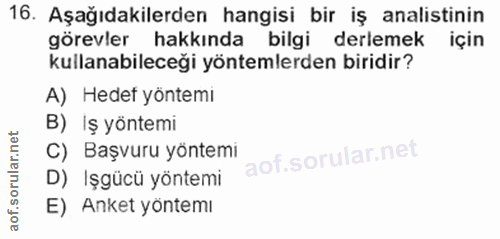 16. soru: Aşağıdakilerden hangisi bir iş analistinin görevler hakkında bilgi derlemek için kullanabileceği yöntemlerden biridir…