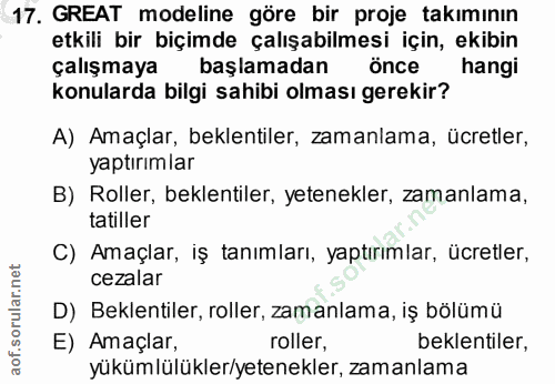 17. soru: GREAT modeline göre bir proje takımının etkili bir biçimde çalışabilmesi için, ekibin çalışmaya başlamadan önce hangi…