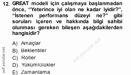 12. soru: GREAT modeli için çalışmaya başlanmadan önce, "Yeterince iyi olan ne kadar iyidir?", "İstenen performans düzeyi ne?"…