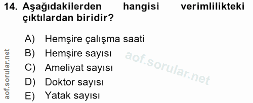 14. soru: Aşağıdakilerden hangisi verimlilikteki çıktılardan biridir? A) Hemşire çalışma saati B) Hemşire sayısı C) Ameliyat sa…