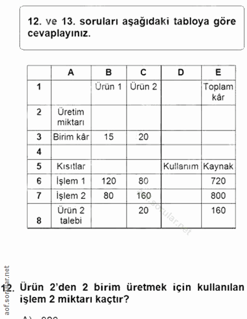 12. soru: ve 13. soruları aşağıdaki tabloya göre cevaplayınız. A D E 1 Ürün 1 | Ürün 2 Toplam kâr 2 Üretim miktarı 3 Birim kâr…