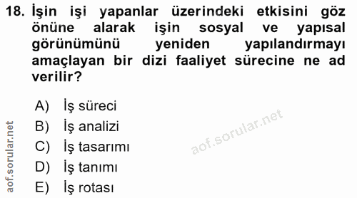 18. soru: Işin işi yapanlar üzerindeki etkisini göz önüne alarak işin sosyal ve yapısal görünümünü yeniden yapılandırmayı amaçl…