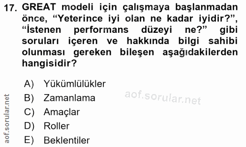 17. soru: GREAT modeli için çalışmaya başlanmadan önce, "Yeterince iyi olan ne kadar iyidir?", "İstenen performans düzeyi ne?"…
