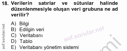 18. soru: Verilerin satırlar ve sütunlar halinde düzenlenmesiyle oluşan veri grubuna ne ad verilir? A) Bilgi B) Edilgin veri C)…