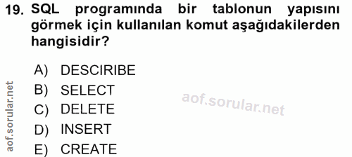 19. soru: SQL programinda bir tablonun yapısını görmek için kullanılan komut aşağıdakilerden hangisidir? A) DESCIRIBE B) SELECT…