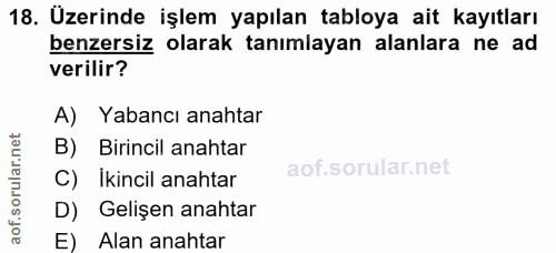 18. soru: Üzerinde işlem yapılan tabloya ait kayıtları benzersiz olarak tanımlayan alanlara ne ad verilir? A) Yabancı anahtar B…