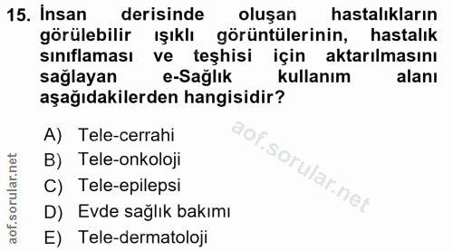 15. soru: Insan derisinde oluşan hastalıkların görülebilir ışıklı görüntülerinin, hastalık sınıflaması ve teşhisi için aktarılm…