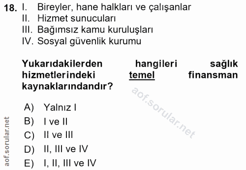 18. soru: I. Bireyler, hane halkları ve çalışanlar II. Hizmet sunucuları III. Bağımsız kamu kuruluşları IV. Sosyal güvenlik kur…