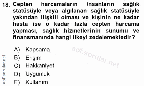 18. soru: Cepten harcamaların insanların sağlık statüsüyle veya algılanan sağlık statüsüyle yakından ilişkili olması ve kişinin…
