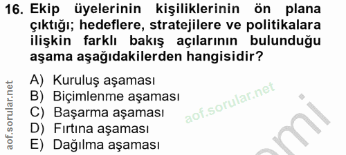 16. soru: Ekip üyelerinin kişiliklerinin ön plana çıktığı; hedeflere, stratejilere ve politikalara ilişkin farklı bakış açıları…