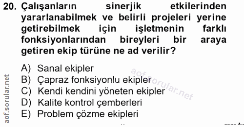 20. soru: Çalışanların sinerjik etkilerinden yararlanabilmek ve belirli projeleri yerine getirebilmek için işletmenin farklı fo…