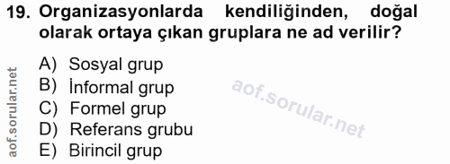 19. soru: Organizasyonlarda kendiliğinden, doğal olarak ortaya çıkan gruplara ne ad verilir? A) Sosyal grup B) Informal grup C)…