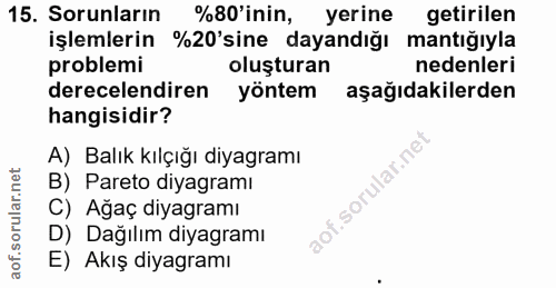 15. soru: Sorunların %80'inin, yerine getirilen işlemlerin %20'sine dayandığı mantığıyla problemi oluşturan nedenleri derecelen…