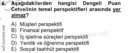 6. soru: Aşağıdakilerden hangisi Dengeli Puan Cetvelinin temel perspektifleri arasında yer almaz? A) Müşteri perspektifi B) Fi…