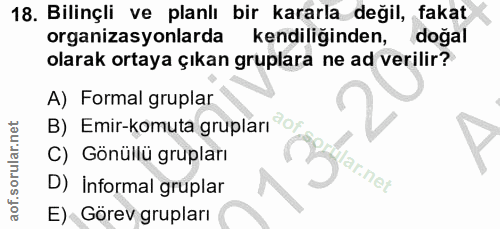 18. soru: Bilinçli ve planlı bir kararla değil, fakat organizasyonlarda kendiliğinden, doğal olarak ortaya çıkan gruplara ne ad…